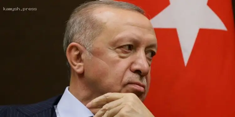 Трамп попросил Эрдогана выступить посредником в переговорах между Украиной и Россией, согласно СМИ