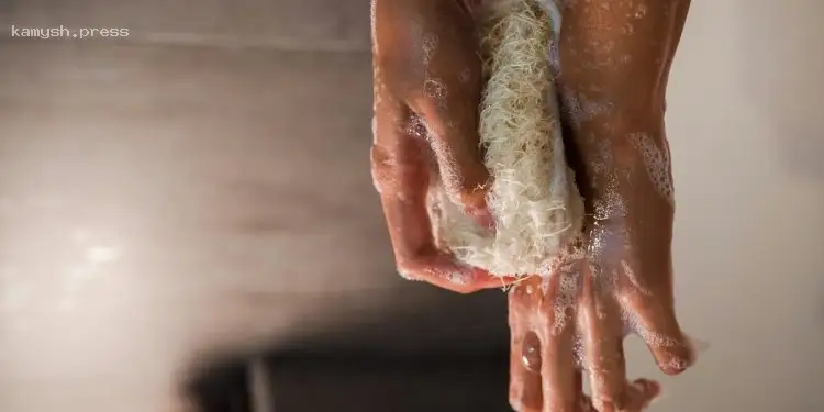 Эксперт объяснил, как часто следует обновлять мочалку для душа и почему это критично