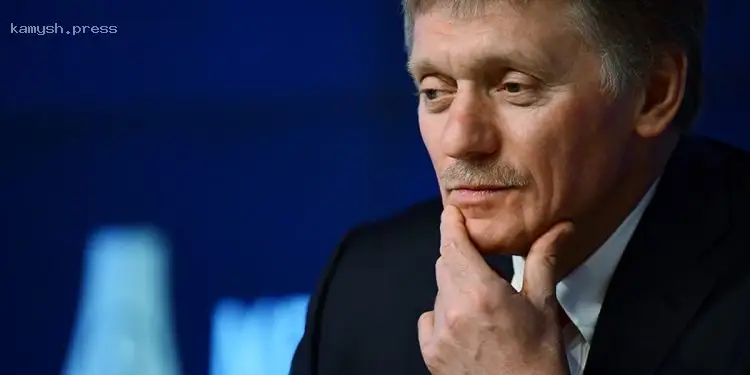 Песков прокомментировал информацию СМИ о намерении Эрдогана организовать встречу Путина и Трампа