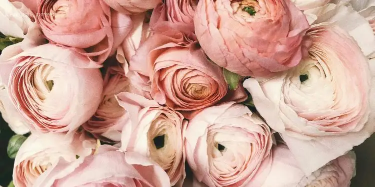 День ангела Давида и других 2 мая: что нельзя делать сегодня