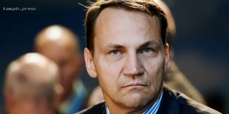 Поддержка победителей: Сікорський объяснил изменившуюся позицию Трампа по украинскому конфликту