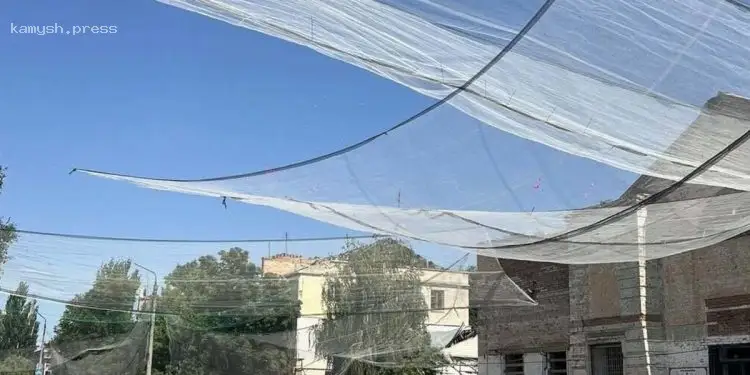 У Запорізькій області стартувало масштабне будівництво тунелів для протидії дронам – Федоров