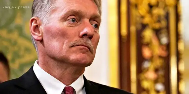 Песков разъяснил условия для личной встречи Путина и Зеленского