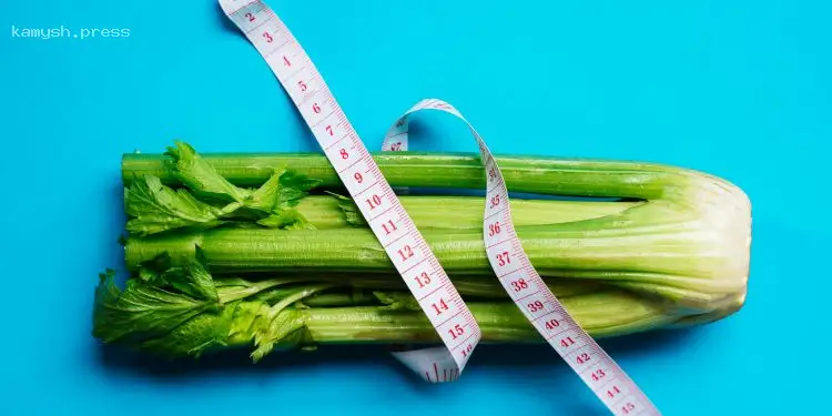 Исследования показывают, как медленное питание способствует снижению веса