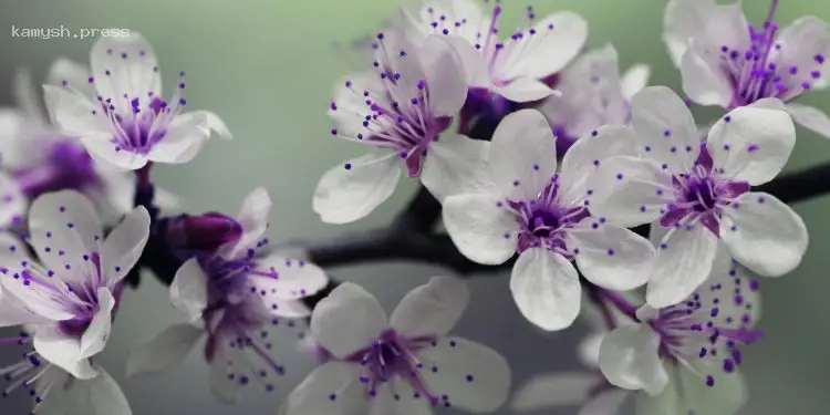 День ангела Алексея и еще 9 имен 9 июня: почему сегодня следует избегать черной одежды