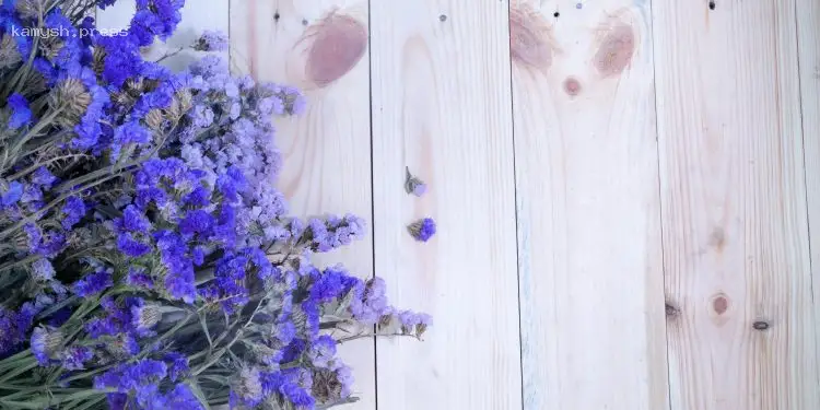 Именины Луки и других: 29 мая — что не следует делать в этот день