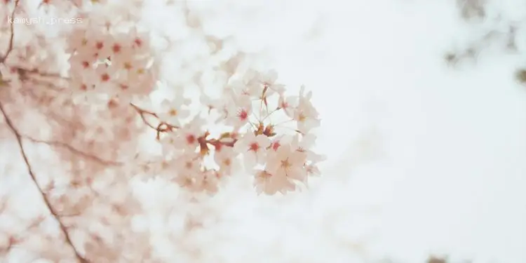 Именины Нины и других 1 мая: почему сегодня не стоит одалживать деньги и вещи