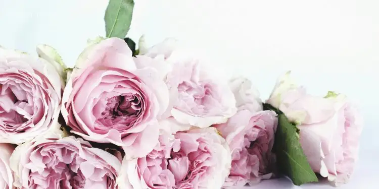 Именины Никиты и других: 28 мая – день, когда нельзя ничего занимать из дома